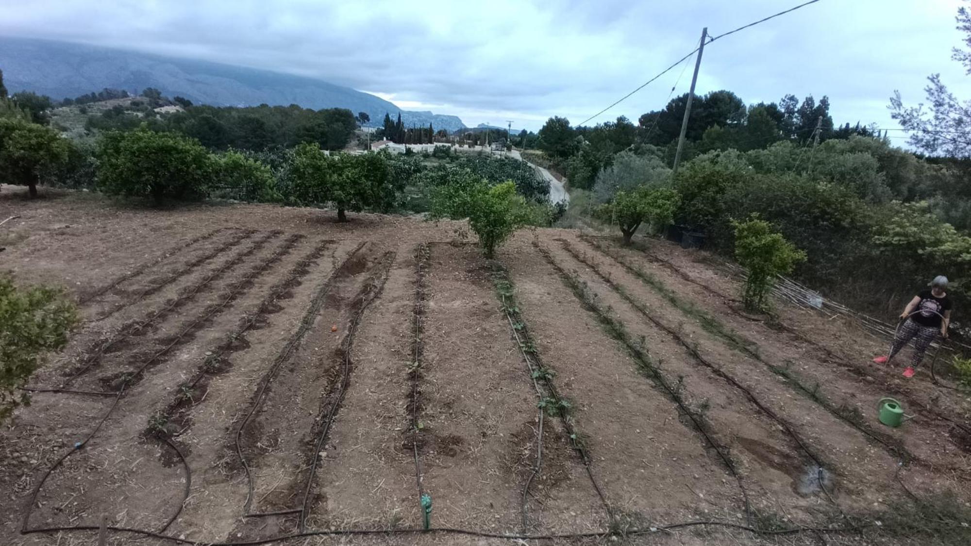 Caravana- Glamping Casa Tortuga La Nucia Bagian luar foto